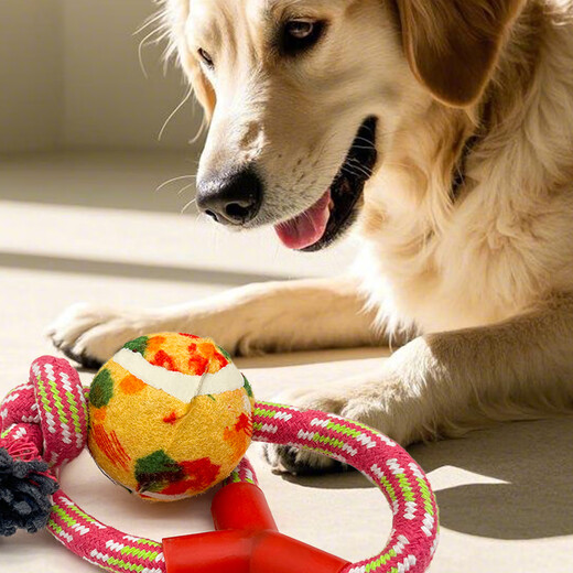 ZanChong Y-shaped cotton knotted tennis ball pink pet large puppy dog toy bite-resistant interactive training molar interactive supplies
