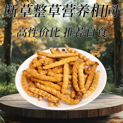 
Authentic Xinazang Qu Cordyceps sinensis broken grass Cordyceps sinensis broken grass self-eating gift nourishing health 10 grams special package Authentic Nagqu Broken Cordyceps sinensis 10 grams special package