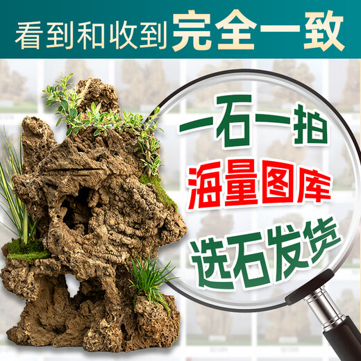 High-quality water-absorbing stone bonsai fish pond rockery micro-landscape decoration natural rockery stone landscaping raw stone high-quality 20-24cm water-absorbing stone with basin