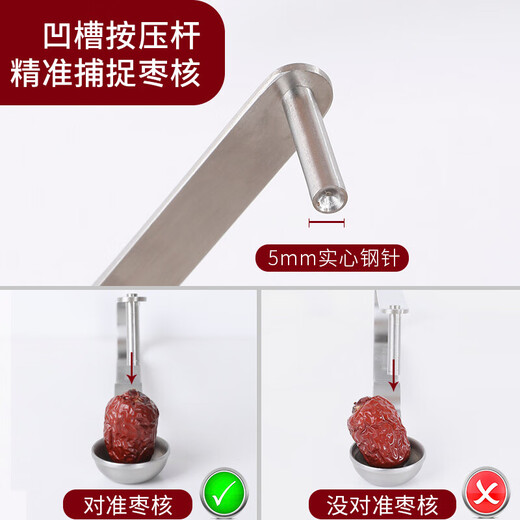 Shantou Lincun jujube removal artifact red date corer stainless steel red date corer jujube corer jujube corer 304 red date corer + fruit slicer