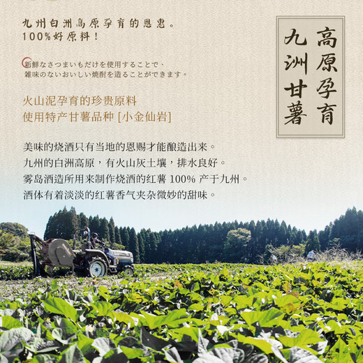 Kazuma Japanische Originalflasche importiert Shojiu und Kirishima Special Destillation Taro Sauna Japanischer Wein Reis Wein Geschenke Taro Sauna (rot) Single Branch 720 ml