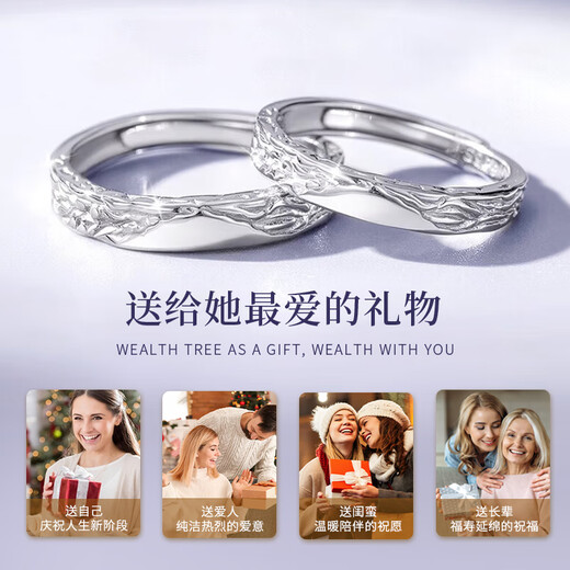 ALLOVE Glacier Sterling Silver Couple Ring Men and Women's Styles Proposal Ring Jewelry Birthday Gifts for Girlfriend Wife Anniversary