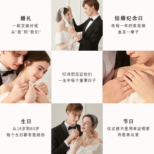 Dirholl Zodiac Dragon Brand PT950 Platinum Necklace for Women Light Luxury Pendant Necklace Valentine's Day Birthday Gift for Girlfriend and Wife Platinum PT950 Necklace-Zircon Pendant