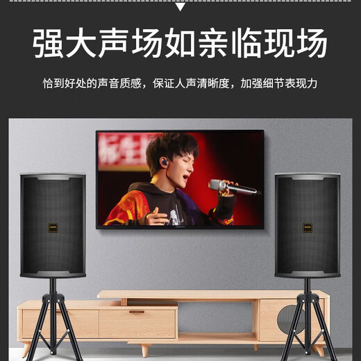 Koda Joy 1 professional stage audio 12-inch large conference room ktv private room outdoor event wedding passive speaker