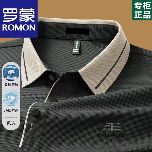罗蒙（ROMON）高端男士长袖t恤2025春秋薄款中年爸爸翻领POLO打底衫秋装上衣服 16823浅绿长袖 XL 175【建议130-155斤】