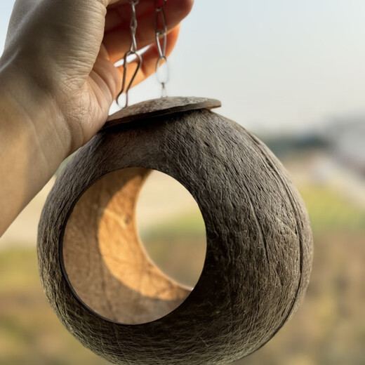 Runhuanian Coconut Shell Bird Nest Tiger Skin Peony Parrot Pet Bird Nest Warm Breeding Nest Bird Toy Supplies Pearl Bird Polished Hanging Chain Model Medium Size (Suitable for 2 Pearls/2 Munnias)