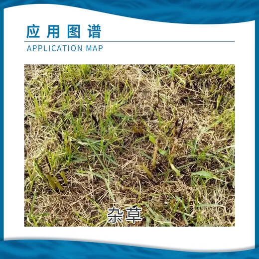 Caoxianhuang Caoxianhuang 10% refined glufosinate ammonium salt glufosinate ammonium ammonium phosphate citrus orchard weed pesticide herbicide 120g