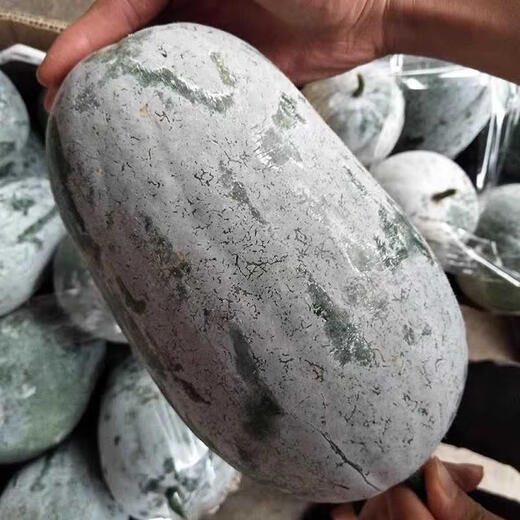 Local old variety short white haired winter melon seeds traditional large winter melon farm taste pink skin winter melon seeds 100 capsules
