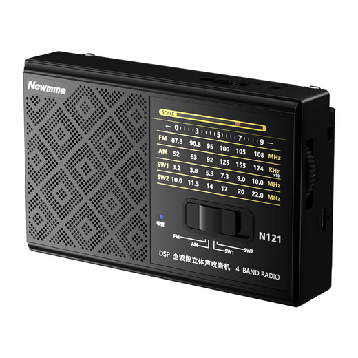 Newman N121 radio for the elderly, full-band FM player, plug-in card rechargeable, mini lightweight portable semiconductor