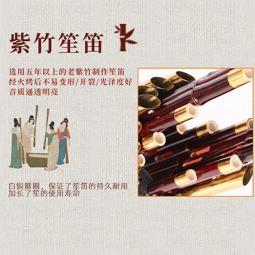 Hongyi Fengming (Hongyifengming) Sheng Musical Instrument 14 printemps 17 printemps 21 printemps Amplification débutante Purple Bamboo Round carré Sheng Factory Ventes directes Performance