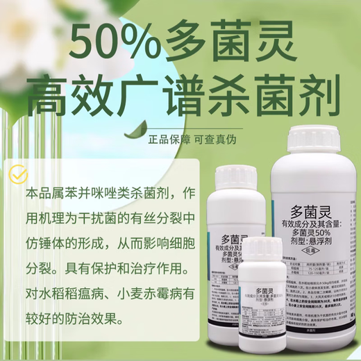50% carbendazim fungicide for fruit trees, fruits and vegetables soil sterilization flower plant fungicide powdery mildew rice blast 500g