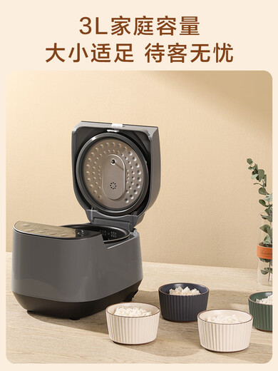 苏泊尔（SUPOR）电饭煲家用小型多功能煮饭锅煲汤煮饭两用小容量智能电饭锅 黑灰色 SF30FC689