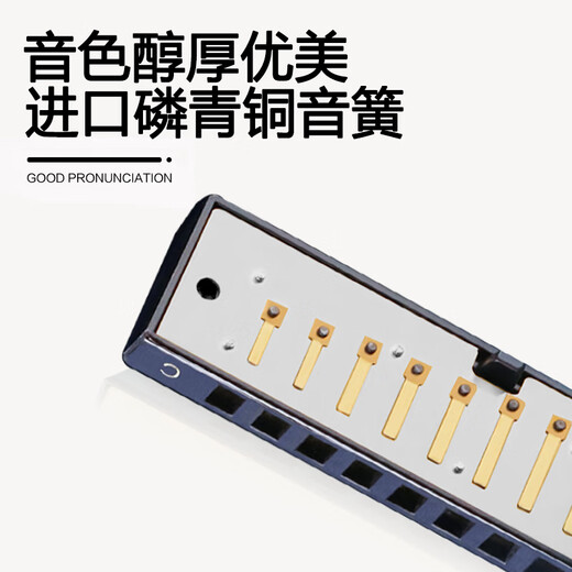 国光10孔布鲁斯十孔蓝调口琴C调 树脂琴盒 宝石兰 