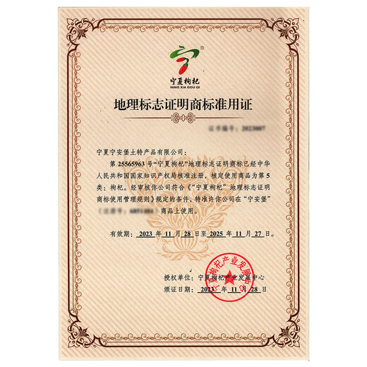 Ning'anbao Ningxia Wolfberry Good Nurishing Gold Gold Standard Special Ningxia Wolfberry 250G*2 Zhongning Specialty Independent Small Packaging