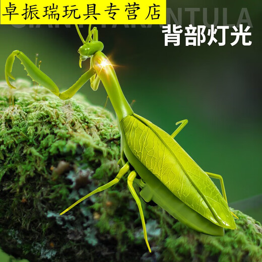 Shantoulin Village Kabaso Дистанционное управление Mantis Electric Toy Scrank Artifact Boy Boy Moves Spider Crawling Animals [Классическая версия - дистанционное управление божьей коровкой] Красная модель 9922