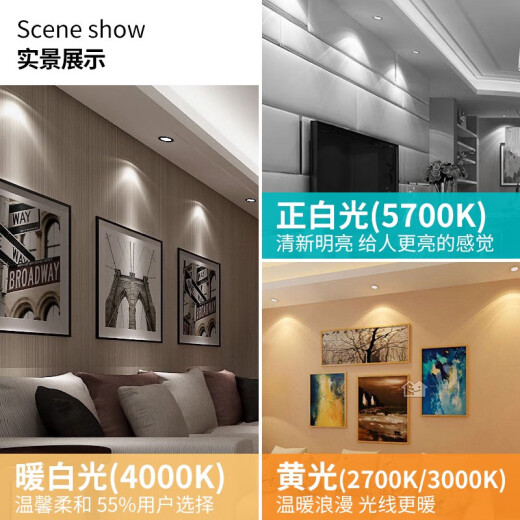 雷士（NVC）雷士照明LED筒灯NLED92225 NLED9223 92235 9224 9225铝材砂银色 9226砂银-开孔175-15W-黄光 300