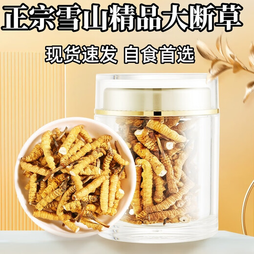 Cordyceps sinensis hohe Höhe Cordyceps echte nahrhafte 20 Gramm erhalten 2 Gramm für selbstverwendungs ​​authentisches Heim-Outfit. Kaufen Sie 10 Gramm erhalten 1 Gramm