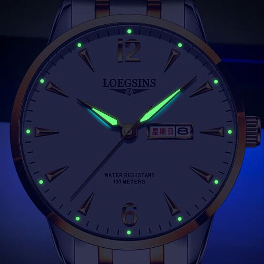 Loegsinss Watch Herren wasserdichte leuchtende leuchtende vollautomatische mechanische Uhr Top Ten Brands Hollow Men's Watch L728 Natural White Floor Upgrade -Geschenkgürtel + Pixiu