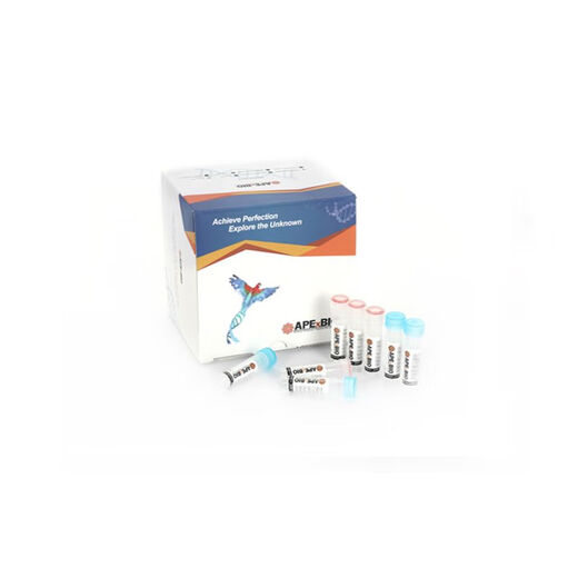 Kunlinyi Apexbio K1047 Hyperscribe? T7 Высокоэффективность транскрипционного комплекта in vitro 25 rxns
