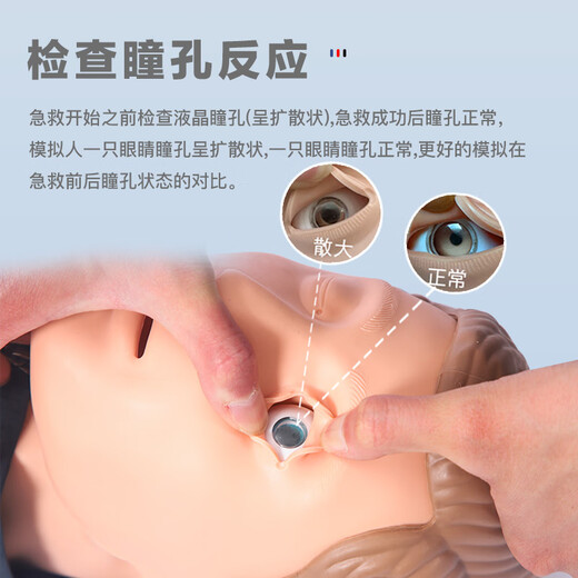 Shanghai Model Ganzkörper halb Körper kardiopulmonaler Wiederbelebung Simuliertes künstliche Atemwege Brustkomprimierung Unterricht Dummy Säugling Kind Erste-Hilfe-Trainingsmodell Defibrillation Trainer Computer Wireless Voice CPR15690 Ganzkörper + 8-Zoll-LCD-Bildschirm + Fernbedienungssteuerung