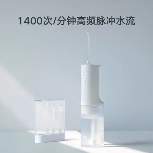 Xiaomi Mijia Electric Tooth Flush Meo701 Home Portable Water Flous