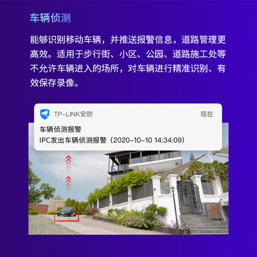 TP-LINK无线摄像头家用500万高清360度无死角室外防水农村双频带全彩夜视智能巡航车辆检测云台球机IPC653 【 AIPC653-A4】500万双频全彩球机 64G(免费升级到128G)
