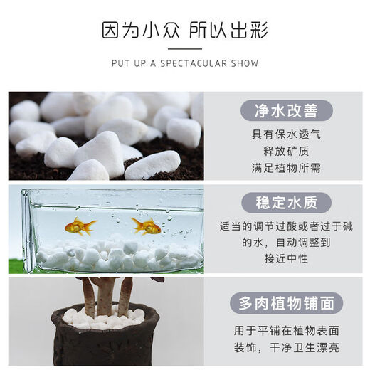Runhua Nian micro landscape white pebbles Yuhua stone succulent plant paving stone fish tank flower pot decoration small stones 5Jin Jin equals 0.5kg (1-3mm) white pebbles