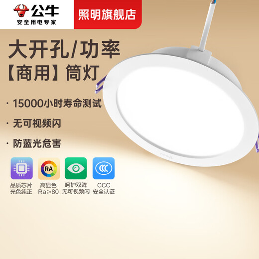 LED嵌入式110mm筒灯大瓦数客厅孔灯12公分家用天花灯桶灯  大光面15W 开孔140-15565
