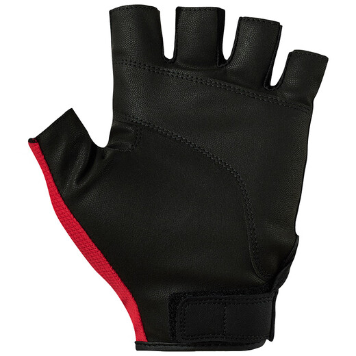 DAIWA 25 spring and summer DG-6425/6525 sweat-absorbent and quick-drying fishing gloves fingerless gloves DG-6525 exposed 5 fingers blue XL