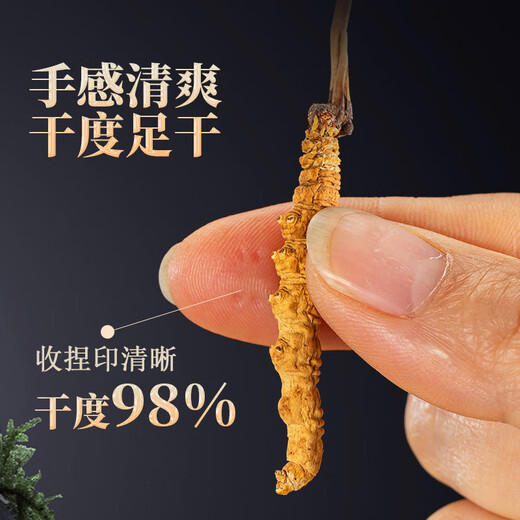 
[Tibet Straight Hair] Nagqu First Stubble Cordyceps Authentic High-altitude Dried Cordyceps Gift Boxes First Choice Special Cordyceps King 2 Roots/G 100 Roots