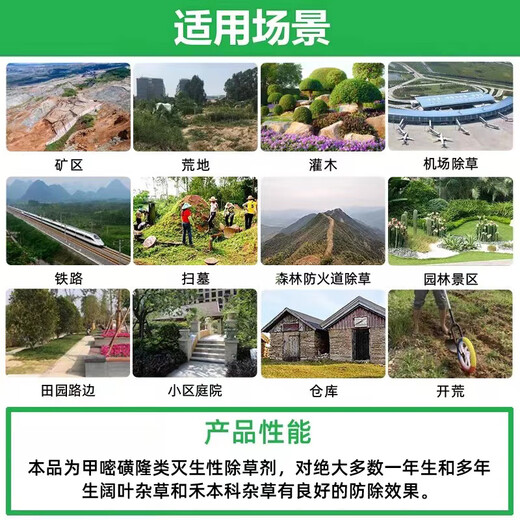 Fanbang 75% metsulfuron herbicide to remove shrubs and weeds, road and railway fire isolation zone, root rot herbicide, pesticide 12g/bag with auxiliaries