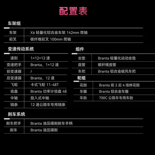 喜德盛（xds）xds ad350喜德盛ad350 25款公路车喜德盛公路车公路自行车喜德盛 2025款|鸽子灰 700Cx480mm|身高165-175cm