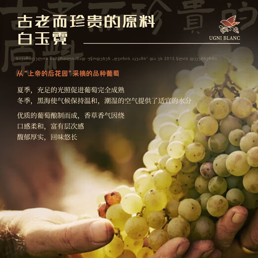 督格拉泽格鲁吉亚原瓶进口白兰地诞生地洋酒调酒基酒烈酒 五星 500mL 1瓶