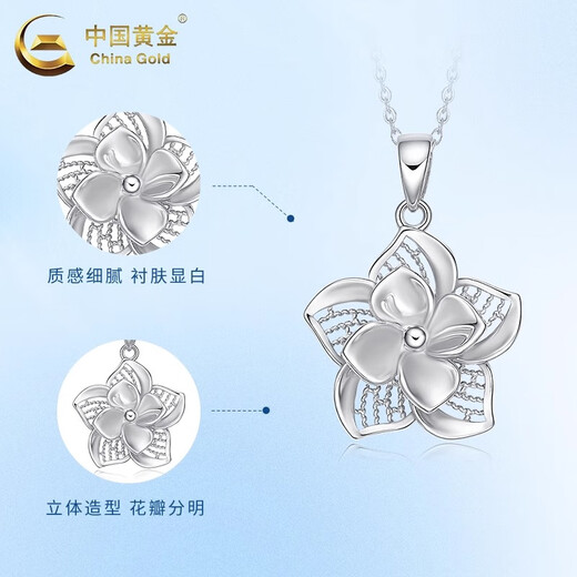 China Gold (CHINA GOLD) Platinum Flower Blooming Wealth Pendant Hollow Platinum Necklace Practical Valentine's Day Gift for Girlfriend and Birthday Gift for Wife PT950 Platinum Flower Blooming Wealth Pendant About 5.8g Free Sterling Silver Chain