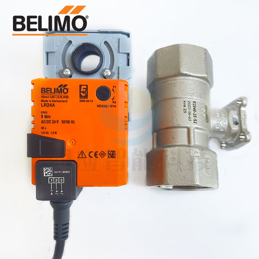 Bolimou SR / NR / LR24A / LR230A / AGRACTION DE BALLE RÉGLAGE / SUPPORT ÉLECTRIQUE R679AO (DN80 Valve à billes bidirectionnelle)