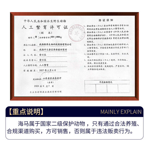 鹿年堂海马1对2克公母两只 干货 男性滋补泡酒组合 营养煲汤材料