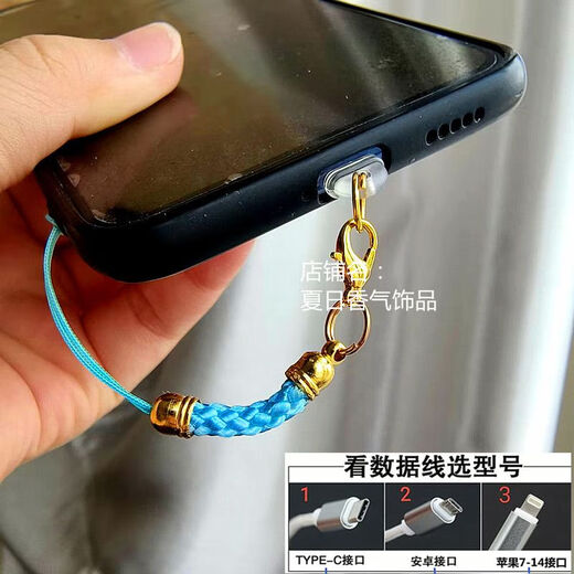 Mobile phone charging port dust-proof plug simple color lanyard hole jewelry pendant rope chain couple male and female student gift golden big red rope Apple 15 interface oval plug single plug