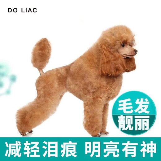 OIMG Duoli Loves Pets High-end Teddy Dog Food for All Stages of Puppies, Adult Dogs and Small Dogs 5 Teddy Food for All Stages 5Jin Jin is equal to 0.5kg (rich in probiotics)