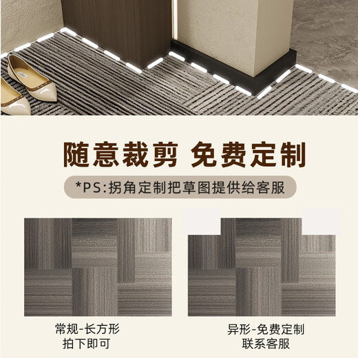入户门地垫2025新款感进门门口脚垫防滑耐脏门外门垫玄关地毯 静波-竖版15926 60cm*90cm