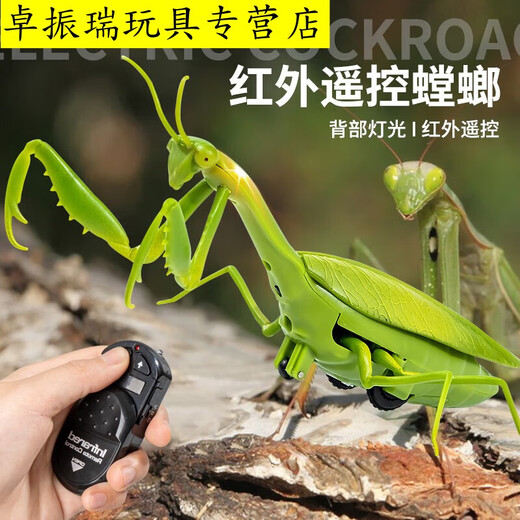 Shantoulin Village Kabaso Дистанционное управление Mantis Electric Toy Scrank Artifact Boy Boy Moves Spider Crawling Animals [Классическая версия - дистанционное управление божьей коровкой] Красная модель 9922