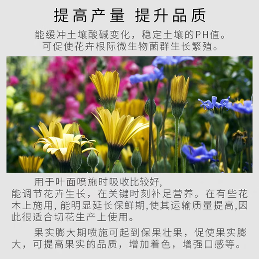 Guoguang Potassium Dihydrogen Phosphate Fertilizer Plant Flower Special Foliar Fertilizer Clivia Large Element Water-soluble Fertilizer Agricultural 98% Potassium Dihydrogen Phosphate 100g 100g 1 bag