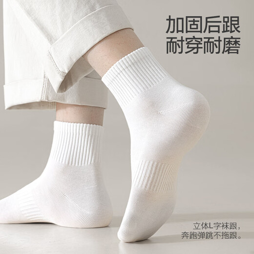 棉小念袜子男士短袜夏季薄款【100%纯棉10A抗菌防臭】透气低帮短筒6双装