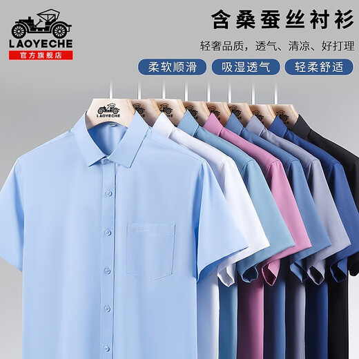 Camiseta de manga corta de seda de seda de mulberry clásica 2025 Summer delgada Forma Forma Camisa informal de media manga Hombres 8806 Azul claro 11xl 3890-110Jin [Jin equivale a 0.5 kg]