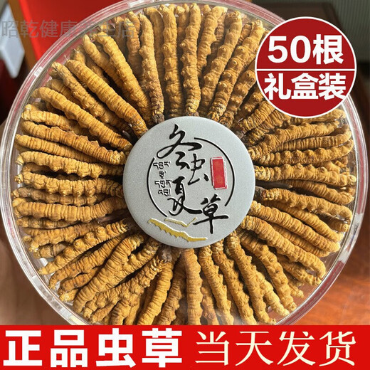 Cordyceps Cordyceps Cordyceps Tibetan Area Snowy Cordyceps 2 Roots 1g Dried Goods Cordyceps Cordyceps as a Gift 50 Roots 50 Roots Gift Box Specifications 2 Roots 1 Gram