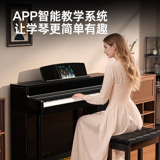 Terence Electric Piano 88 Key Heavy Hammer Professional Electronic Piano Erwachsener Kinder Haushalt vertikaler elektrischer Stahl E50/E55 Malt Black [Spielstufe]