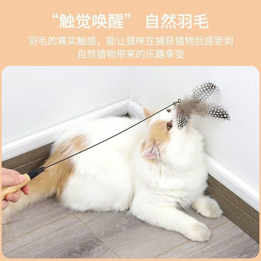 CFA Cat Cat Stick Long Rod Cat Toy Small Flying Insect Feather Replacement Head Bite-resistant Kitten Supplies Cat Self-Happiness (Ready Stock Quick Delivery) - Store Manager Small Profits but Quick Turnover (No Rod/Replacement Head) 1 Replacement Head