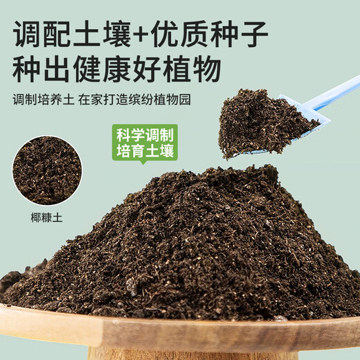 Beiyipin children planting small potted cream strawberry fruit seeds kindergarten plant observation box primary school student gift