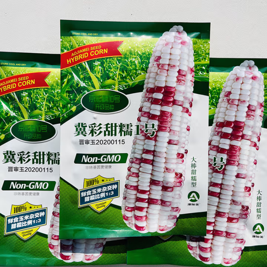 White, sweet and waxy corn seeds, high-yielding, sown in all seasons, white and waxy corn, non-transferable, national-approved, farmers’ super-sweet and waxy corn seeds, Xinnuo 628 corn seeds, original 200g, 1 bag