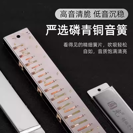 Guoguang Mundharmonica 24-Loch Polyphonische C-Tune-Anfänger und Kinder Erwachsene Selbststudie Eingangsorganinstrument 24-Loch Polyphonische C-Tune Schwarz