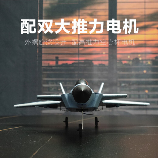 TEMA TONGNTONG Fernbedienungskämpfer J20 Modellmodell Flugzeuge können feste Flügelflugzeuge Spielzeug für Kindergeburtstagsgeschenk 15 Minuten J20 8300 Modell fliegen